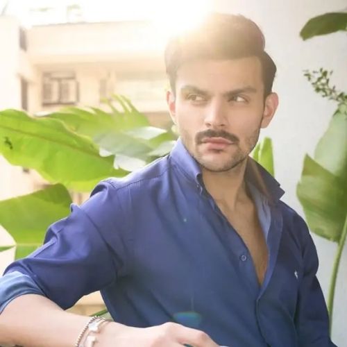 Veer Pahariya Net Worth